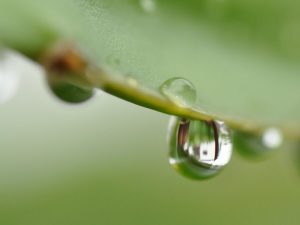 水滴